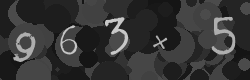 Please type the characters of this captcha image in the input box