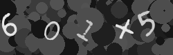 Please type the characters of this captcha image in the input box