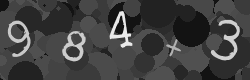 Please type the characters of this captcha image in the input box