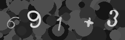 Please type the characters of this captcha image in the input box