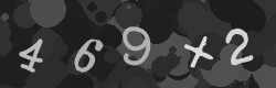 Please type the characters of this captcha image in the input box