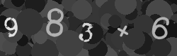 Please type the characters of this captcha image in the input box