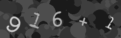 Please type the characters of this captcha image in the input box