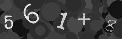 Please type the characters of this captcha image in the input box